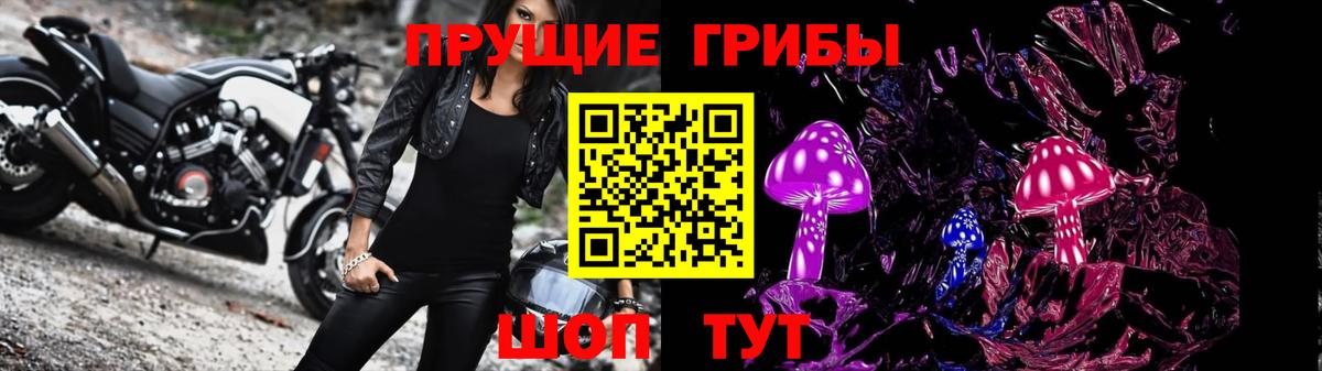 Галлюциногенные грибы Cubensis Нефтекумск